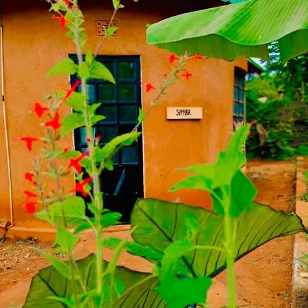Sonofjohnhomestay Karatu Exterior photo