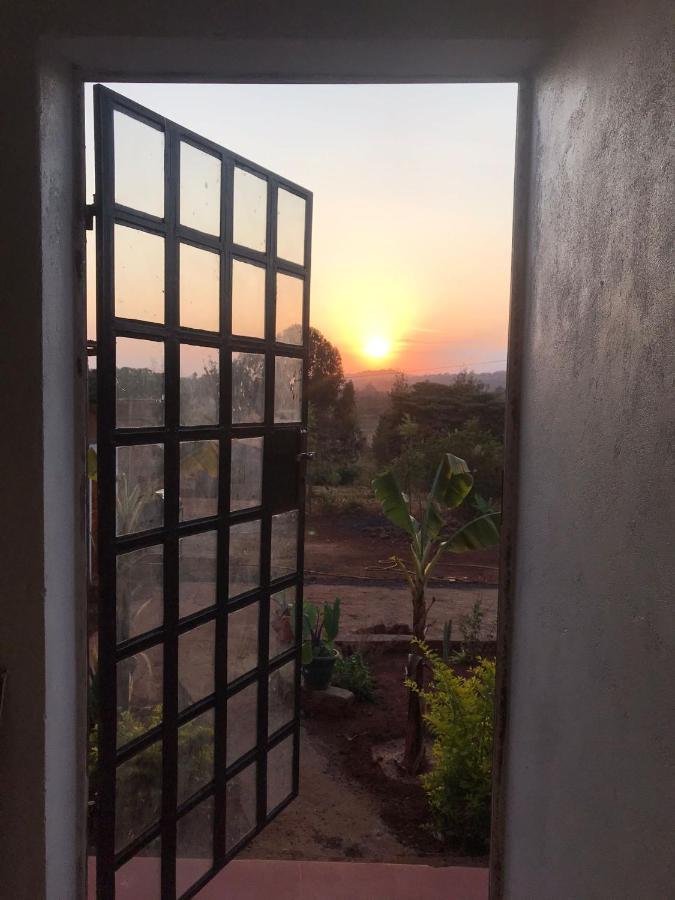 Sonofjohnhomestay Homestay