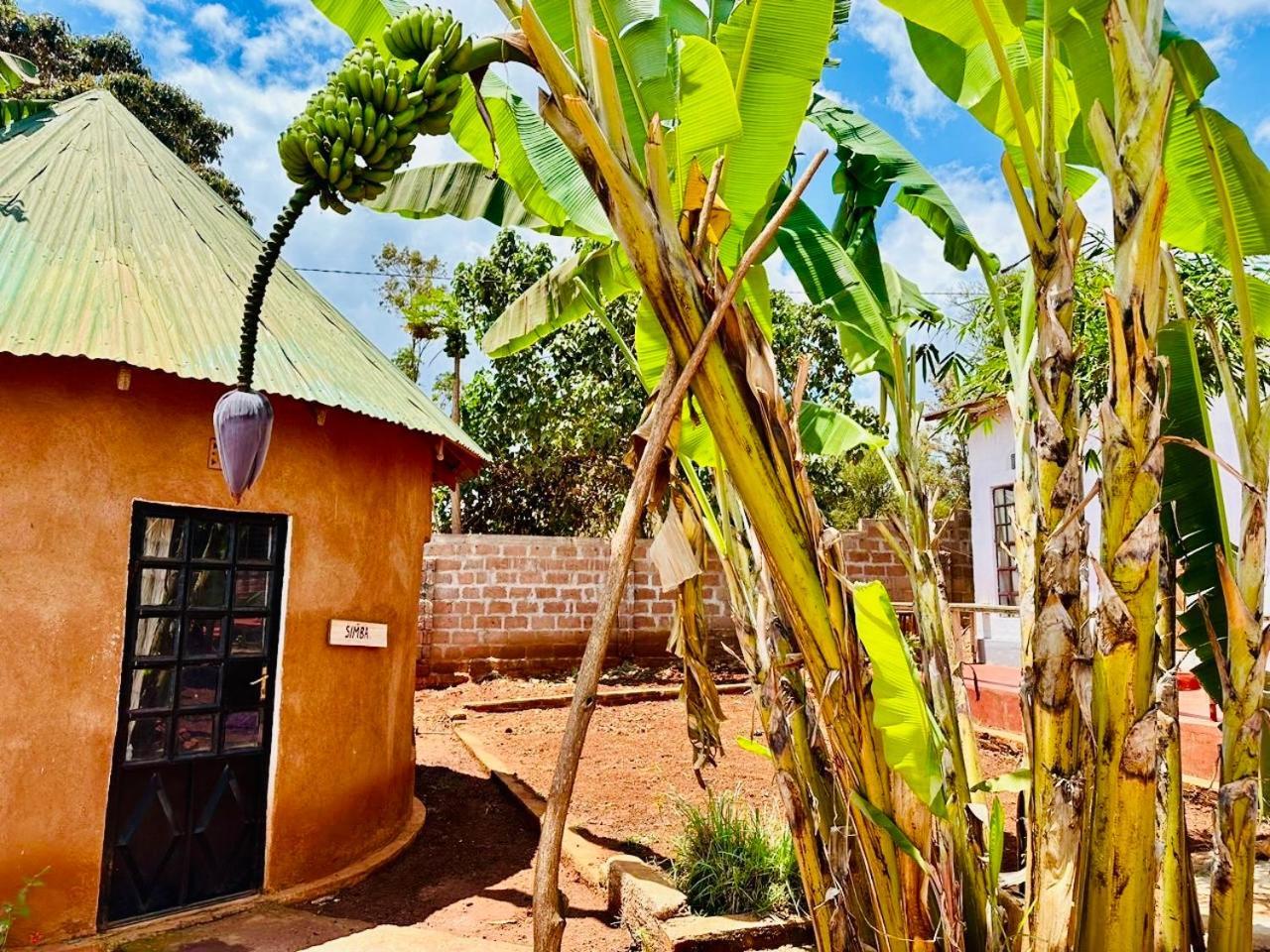 Sonofjohnhomestay Karatu