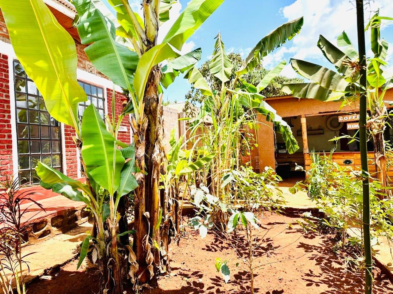 Sonofjohnhomestay * Karatu