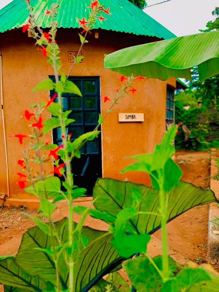 Sonofjohnhomestay Homestay Karatu